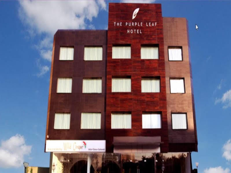 The Purple Leaf Hotels Χιντεραμπάντ Εξωτερικό φωτογραφία